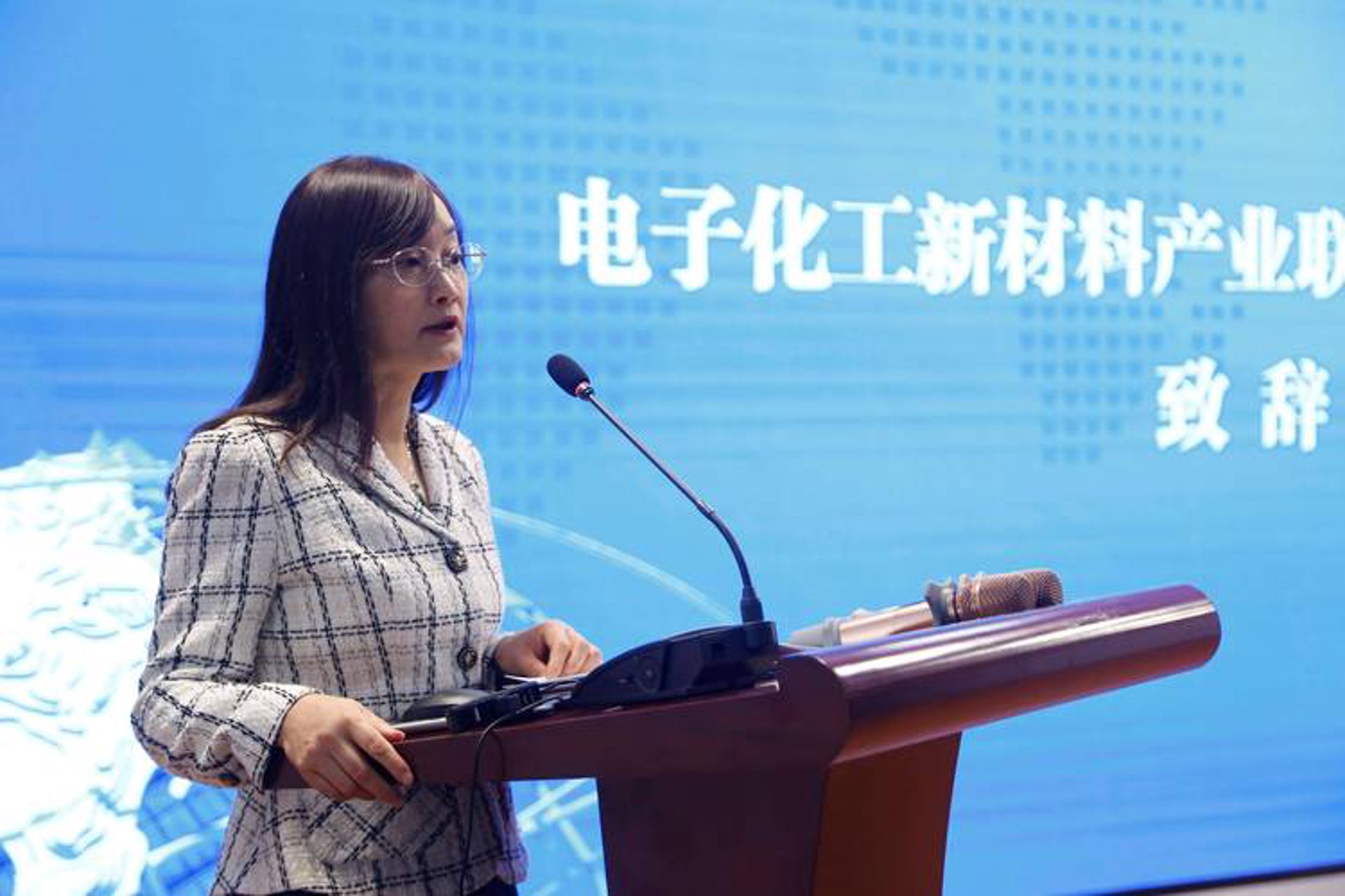 智善电子化工